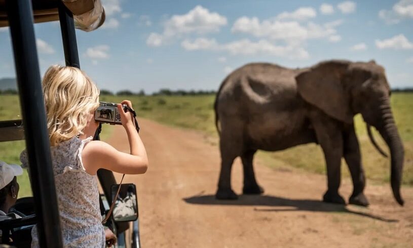 Tanzania Budget Safari