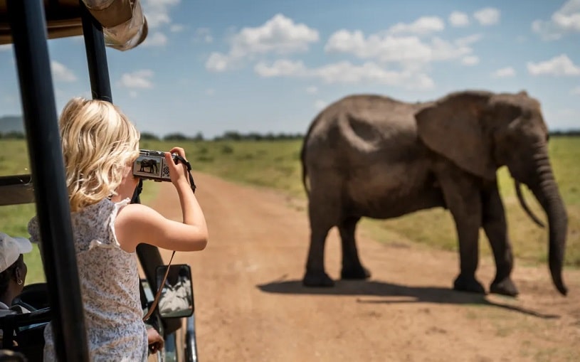 Tanzania Budget Safari