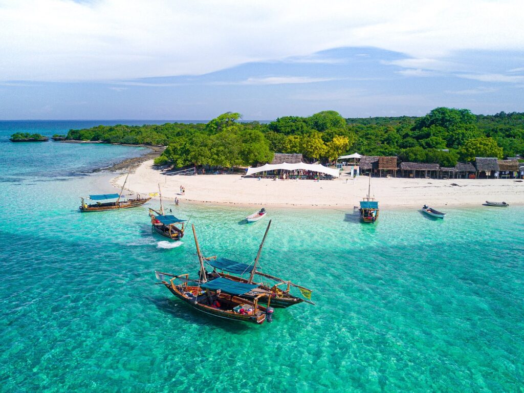 Tanzania and Zanzibar Safari