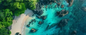 zanzibar safari